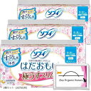 まとめ買い はだおもい 極うすスリム 210 多い昼 ~ ふつうの日用 21cm 羽なし 27コ入 x 3個セット 合計81枚 特製ティッシュ付(3個セット (合計81枚))