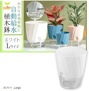 ガーデニングプランナー推薦 植木鉢 ハイドロカルチャー 水耕栽培 観葉植物 給水プランター L(ホワイト, Large)(4)