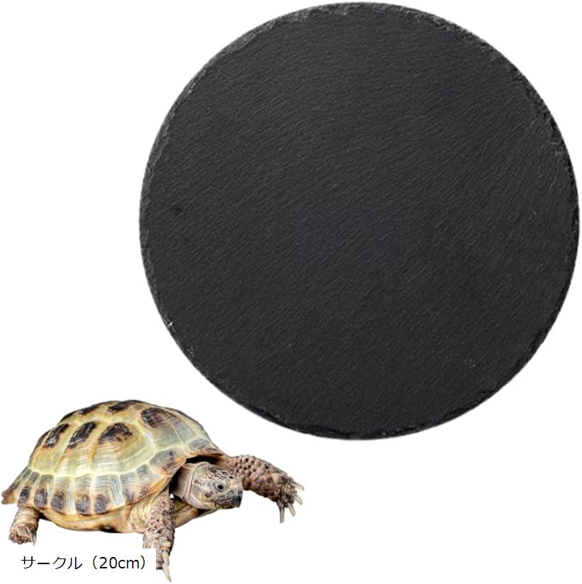  ܡ Φ  ϴץ졼  ꥯ  ݲ ݼ(֥å, 20cm)