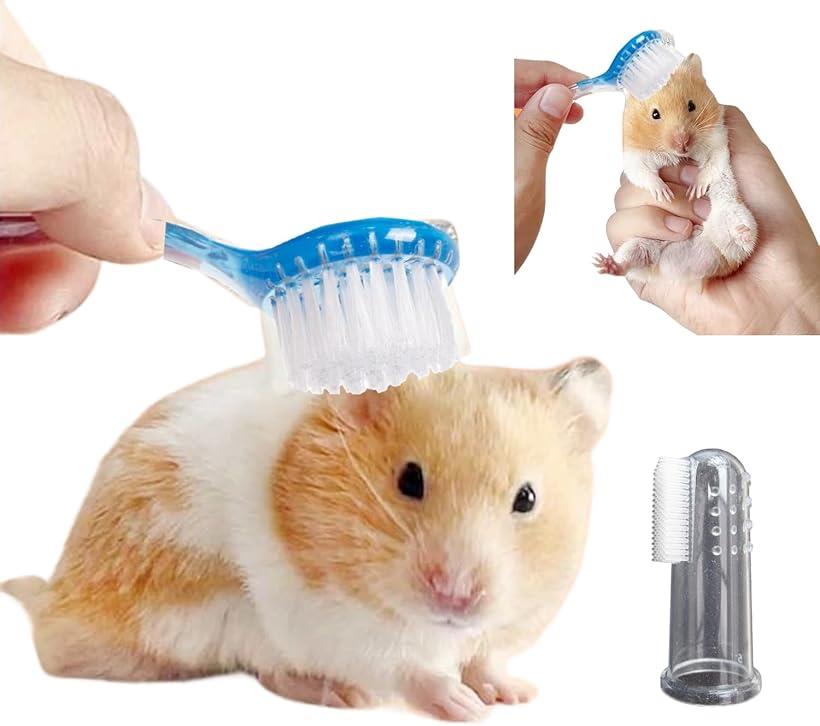 ハムスター おもちゃ 玩具 遊び道具 遊び場 アスレチック ブルー (ブルー)