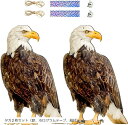 鳥よけ 防鳥 鳥よけグッズ 鳥害対策グッズ 吊り下げ式 鳩よけ カラス撃退 ベランダ 果樹園庭 家庭菜園 鳥撃退 鳥獣(タカ2枚セット(鈴、ホログラムテープ、紐...