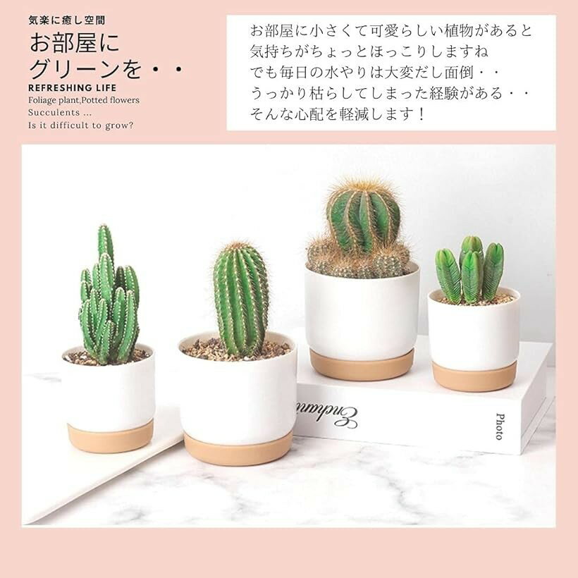北欧風 ミニ プランター 保水機能 トレー付 シンプル ならべてkawaii 植木鉢 SW173...