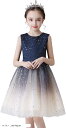 子供ドレス ピアノ発表会 女の子 フォーマル グラデーション スパンコール 星 ワンピース キッズ 演奏会 結婚式 パーディー コンクール プレゼント 七五三 お誕生日 記念写真 かわいい子供服(A-ブルー, 160 Regular)