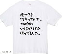 痩せろ 何言ってんだ tシャツ 面白tシャツ ネタtシャツ おもしろt 文字 Mサイズ(ホワイト, M)
