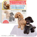洗えるペットシーツ 2枚セットトイプー2匹の愛犬家監修xトイトレやトイレを外す子のサブシーツ専用小型犬専用x老犬のおねしょ用にも L 50x70cm(ライトグレ...