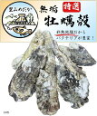 国産特選牡蠣殻 非加熱 アクアリウム メダカ 金魚 熱帯魚 海水魚 水質安定 水質浄化 PH調整 脱臭 酸性防止(10枚)