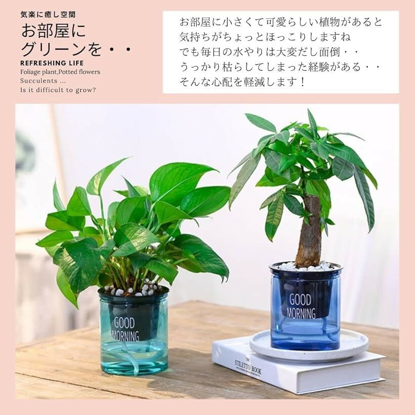 ����ȭ ��������å���ǥ����� ��ư��� �ץ饹���å� �ץ�󥿡� �ե� �ݥå� SW1924���ꥢ�ܥ֥롼�ܥ��꡼�� 3�����å� (���ꥢ�ܥ֥롼�ܥ��꡼��(3�����å�), Small)