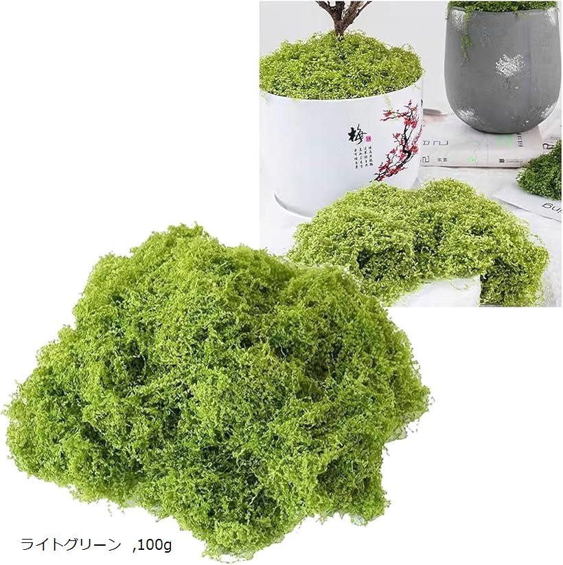 人工苔 フェイクグリーン ジオラマ 装飾 鉢植え 盆栽 DIY 水槽 イベント ディスプレイ (ライトグリーン, 100g)