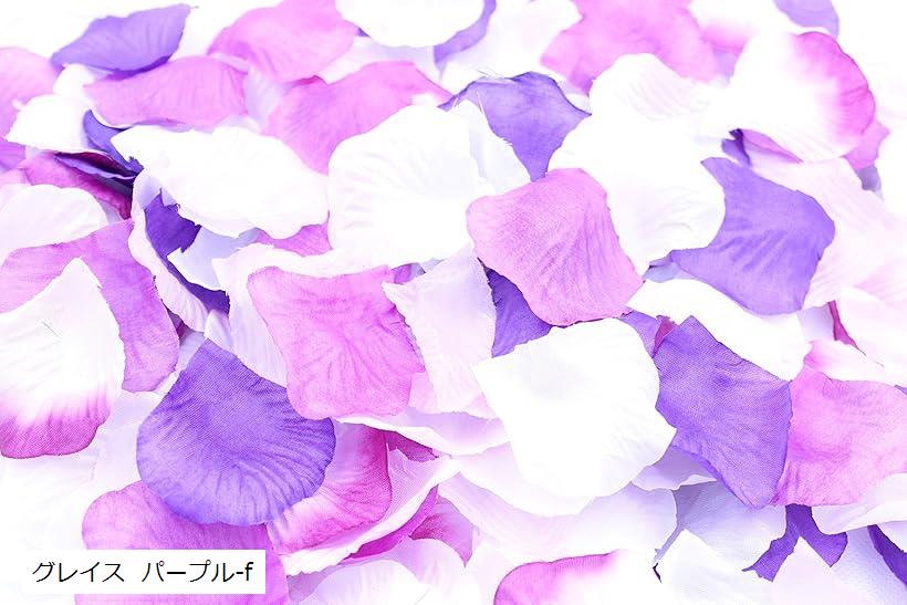 XPǥ ե 뺧֡ ¤ ֤Ӥ ֤ӤΤ ץ饤 եڥ(쥤 ѡץ-f)
