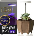 植物育成ライト LED 初心者専用植物育成のプロ2人が監修置くだけで使用可能(紫色)