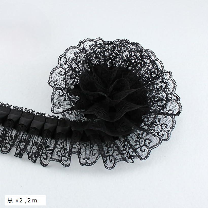 レース 手芸用品 DIY 衣装 パーティー装飾 ウェディング クラフト 飾り 素材 ハンドメイド用(黒 #2, 2m)