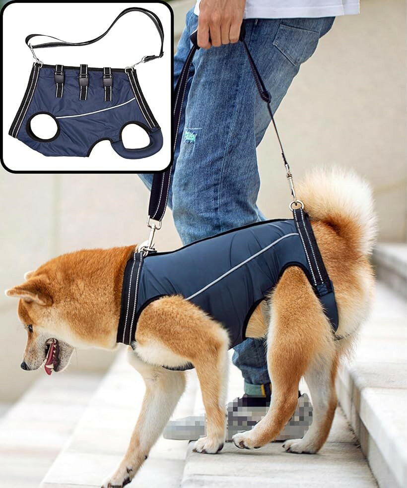 歩行が楽 介護用ハーネス 犬 歩行補助 老犬 補助ハーネス リハビリ 介護用品 夜も...