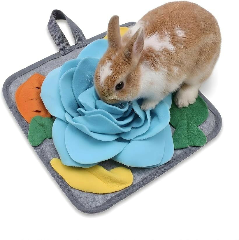 楽天市場】デグー 用品（その他｜小動物用品）：ペット・ペットグッズ