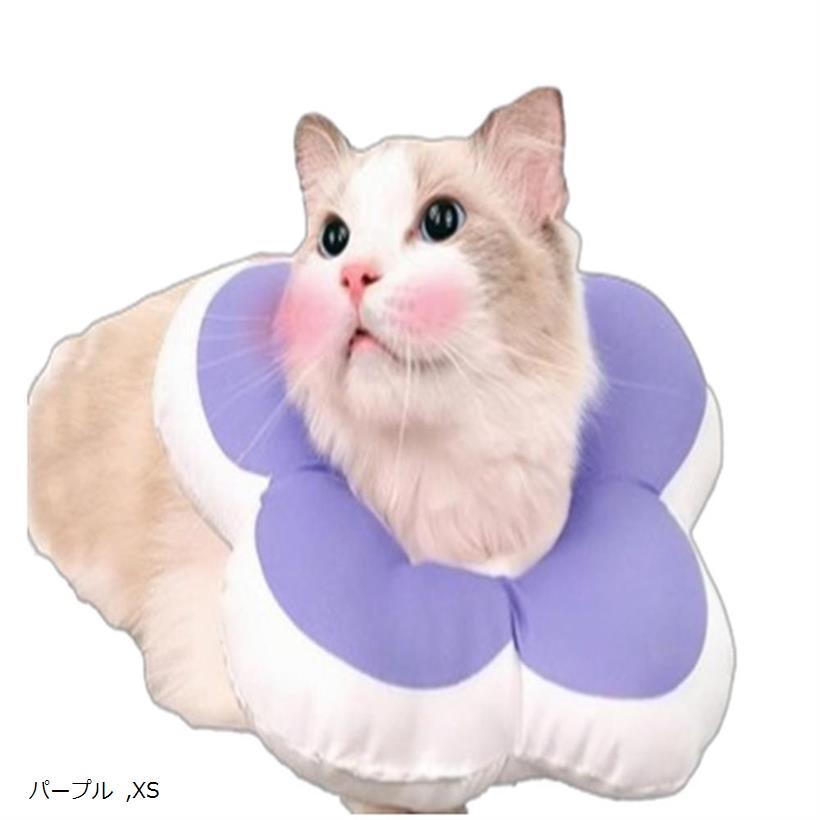 ꥶ٥顼 ٤4 ǭ  ե ɿ   餫 ȥ쥹ե꡼ ɡʥ Ӥɻ ߤɻ  ǭ ...