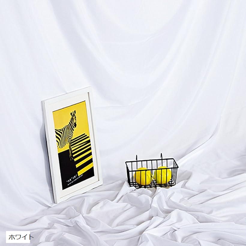 背景布 無地 撮影用 3mx2m バックスクリーン 写真 スタジオ 多用途 撮影布 生地 物撮り(ホ ...