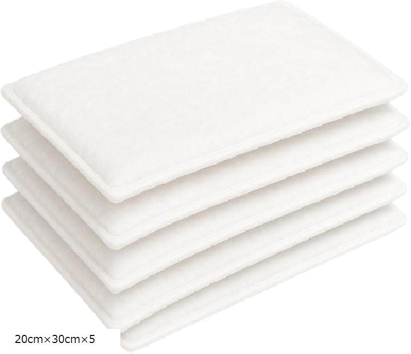 濾過 マット フィルター 水槽 熱帯魚 金魚 交換 高密度 浄水 バクテリア スポンジ セット SN-390-RM(白5枚, 20cmx30cmx5)