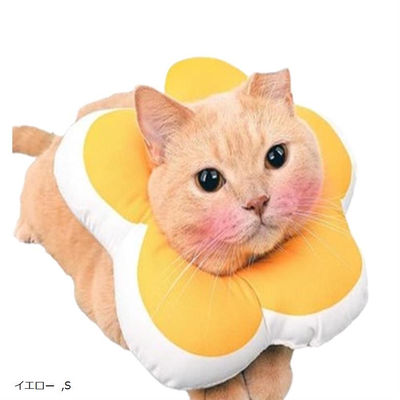 ꥶ٥顼 ٤4 ǭ  ե ɿ   餫 ȥ쥹ե꡼ ɡʥ Ӥɻ ߤɻ  ǭ ...