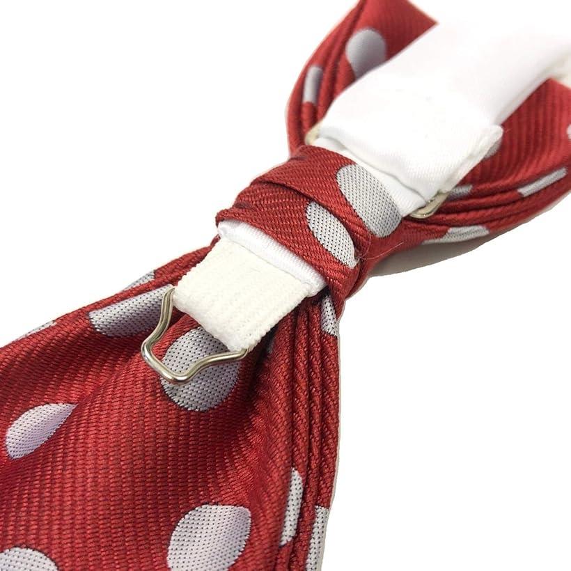 大きなドット 水玉柄 蝶ネクタイ 結婚式 披露宴 二次会 パーティー 発表会 原宿系 衣裳 (レッド/シルバー)