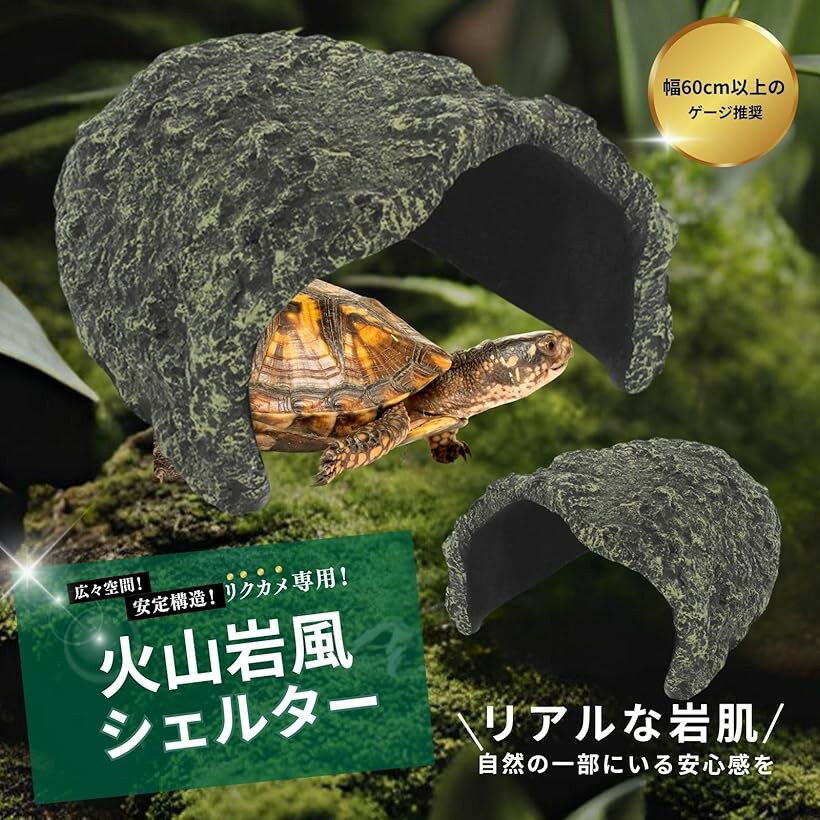 �ڳ�ŷ��󥭥�1�����ޡ������ �ꥯ���� �����륿�� �� Φ�� ���� ���å������륿�� ����� ���β� �緿 (���졼)