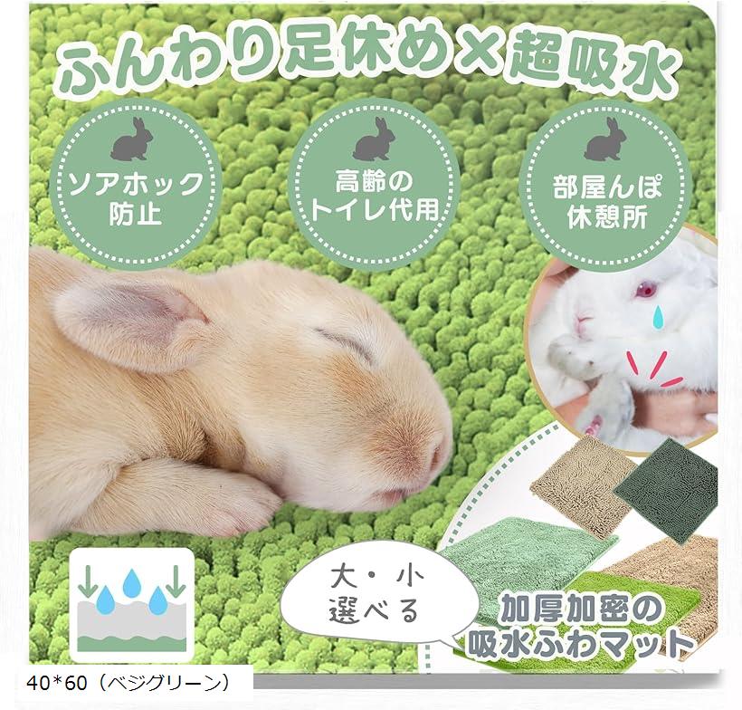 うさぎ マット トイレ ソアホック 洗濯機OK 足休め＆トイレケアを両立。 (40x60（ベジグリーン）)