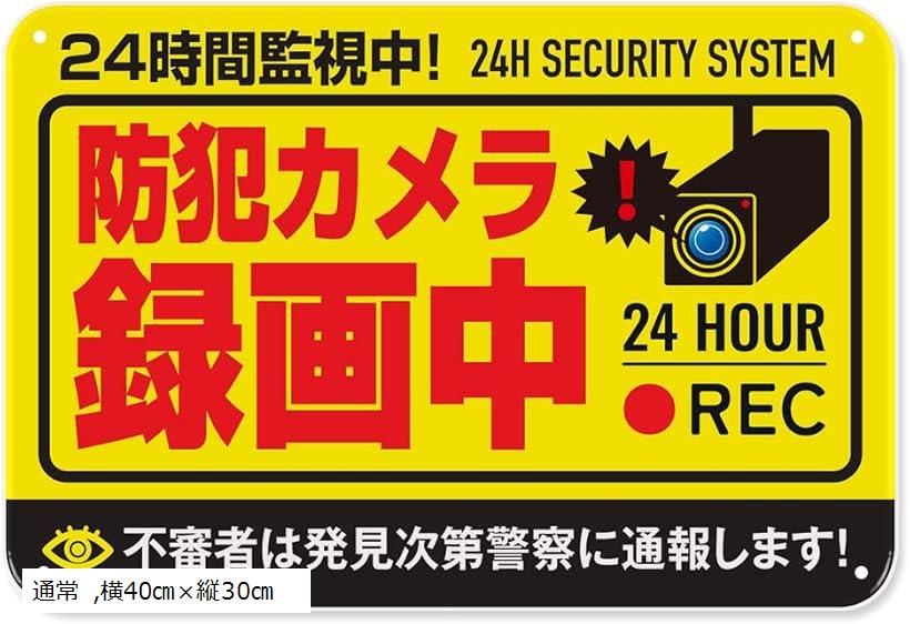 ۥå㤨ȥ ư  ֥ꥭ  ץ졼 ȥå ƻ륫 ߡ Ͽ ٻ 󥵡    ߡץ졼(̾, 40cmx30cmפβǤʤ1,480ߤˤʤޤ