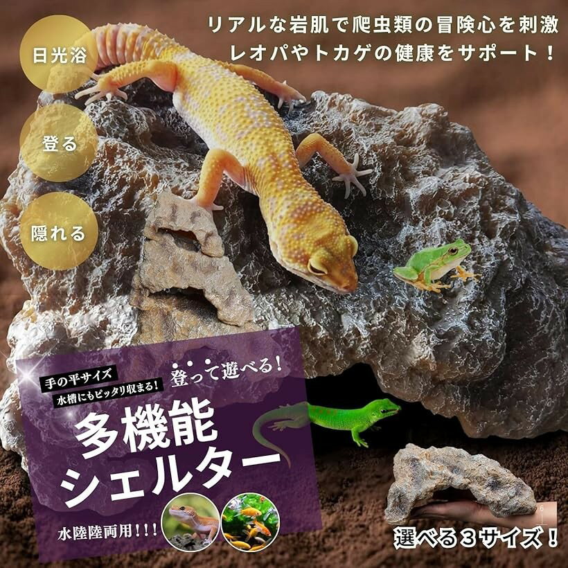 �ڳ�ŷ��󥭥�1�����ޡ������ �쥪�� �����륿�� �ȥ��� ���ʥإ� �� ���å������륿�� ����ॷ���륿�� �� ����� (�֥饦��, M)