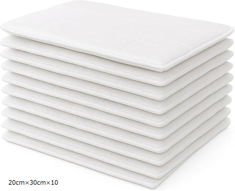 濾過 マット フィルター 水槽 熱帯魚 金魚 交換 高密度 浄水 バクテリア スポンジ 20cm x 30cm セット SN-390-RM (白 10枚, 20cmx30cmx10)