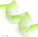 グラデーション オーガンジーリボン 幅2.5cm ギフト ラッピング 手芸(グリーン, 90m)