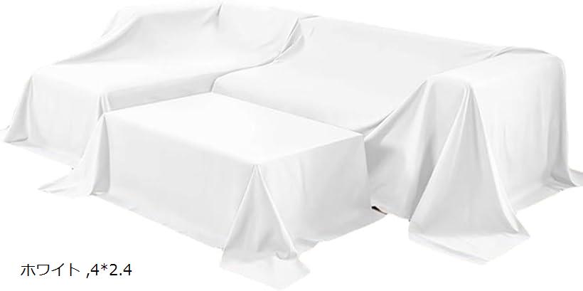 大判マルチカバー 埃よけカバー ベッドカバー ソファカバー 家具 ほこりよけ布 ホワイト 4x2.4 (ホワイト, 4x2.4)
