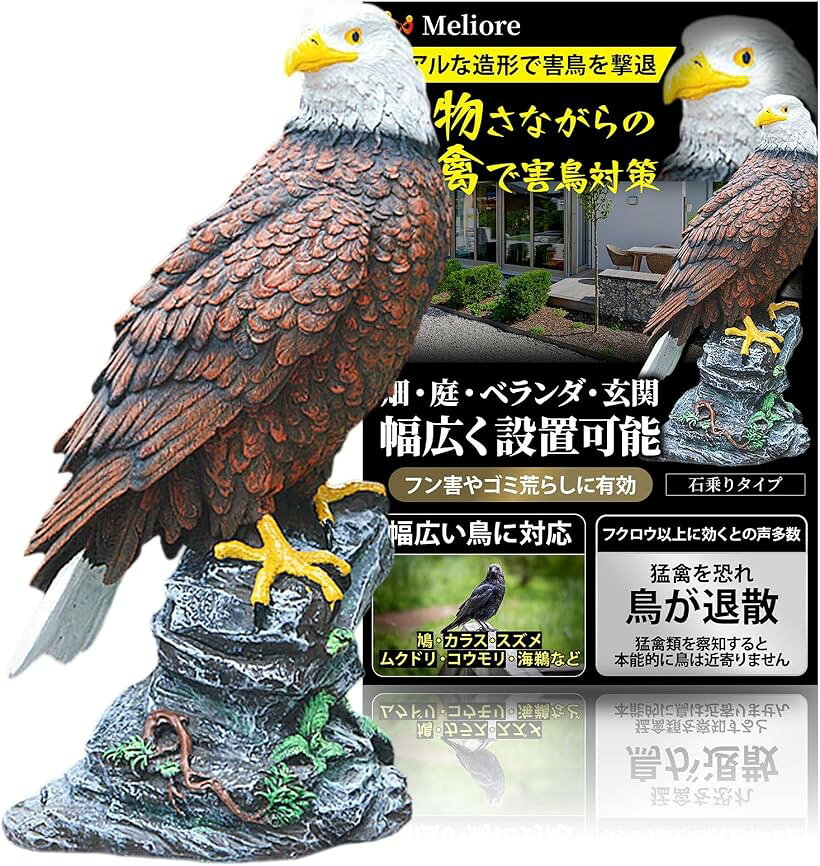 楽天市場】鷹（置物｜インテリア小物・置物）：インテリア・寝具・収納