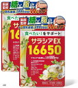 医師監修 サラシアEX16650 糖質と脂質をWバリア/ナノ型乳酸菌 3000億個の贅沢配合 16650mg 9種類の厳選成分サポート配合 国内製造 90粒 30日分(2袋)