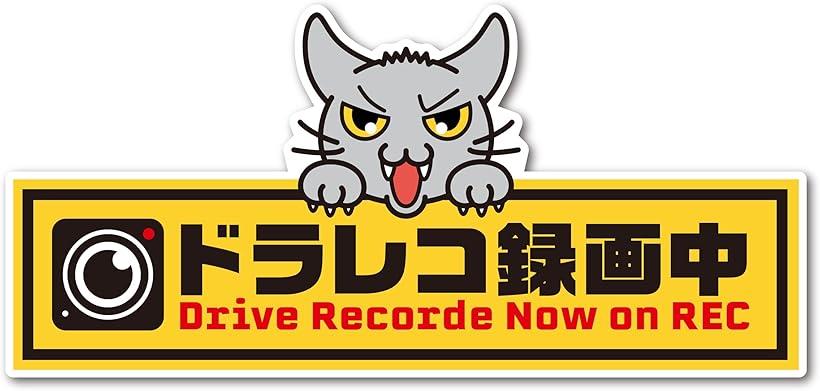 ドラレコ録画中 ドラレコステッカー ドラネコ シール W150mmxH70mm 車 屋外 防水 猫