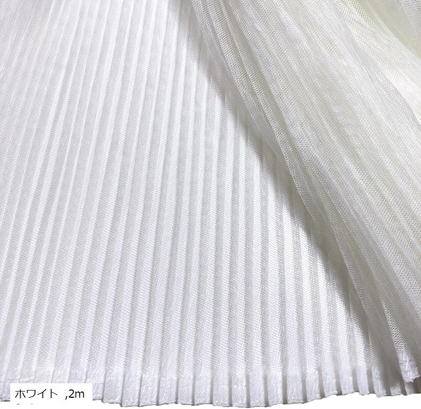プリーツ チュール レース 生地 幅130cm 白 黒 透ける 無地 メッシュ 手芸 布 (ホワイト, 2m)
