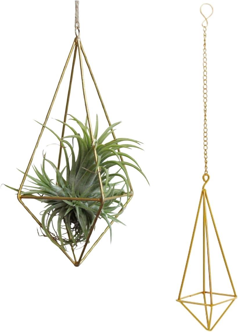 商品コード2b9np3frvn商品名プラントハンガー エアプランツ プラントホルダー 吊るす 園芸ラック 屋内屋外ブランドユアクトカラーゴールドサイズ等全長48.5x幅8cm華やかなゴールドカラー。 モダンなデザインと高級感のあるゴールドカラーで、インテリアのアクセントにぴったり。耐久性抜群の鉄製。 高温焼付塗装による防錆加工で、屋内外どちらでも長く美しさをキープできます。どこでも飾れるデザイン。 バルコニーやガーデンはもちろん、カフェやオフィスにもマッチする上品なハンガー。空間を広く、おしゃれに。 吊るすことで奥行きが生まれ、部屋をスタイリッシュに演出。限られたスペースも有効活用できます。植物のある暮らしでリラックス。 エアプランツやドライフラワーを飾って、癒しのあるインテリアを楽しめます※ 他ネットショップでも併売しているため、ご注文後に在庫切れとなる場合があります。予めご了承ください。※ 品薄または希少等の理由により、参考価格よりも高い価格で販売されている場合があります。ご注文の際には必ず販売価格をご確認ください。※ 沖縄県、離島または一部地域の場合、別途送料の負担をお願いする場合があります。予めご了承ください。※ お使いのモニタにより写真の色が実際の商品の色と異なる場合や、イメージに差異が生じることがあります。予めご了承ください。※ 商品の詳細（カラー・数量・サイズ 等）については、ページ内の商品説明をご確認のうえ、ご注文ください。※ モバイル版・スマホ版ページでは、お使いの端末によっては一部の情報が表示されないことがあります。すべての記載情報をご確認するには、PC版ページをご覧ください。