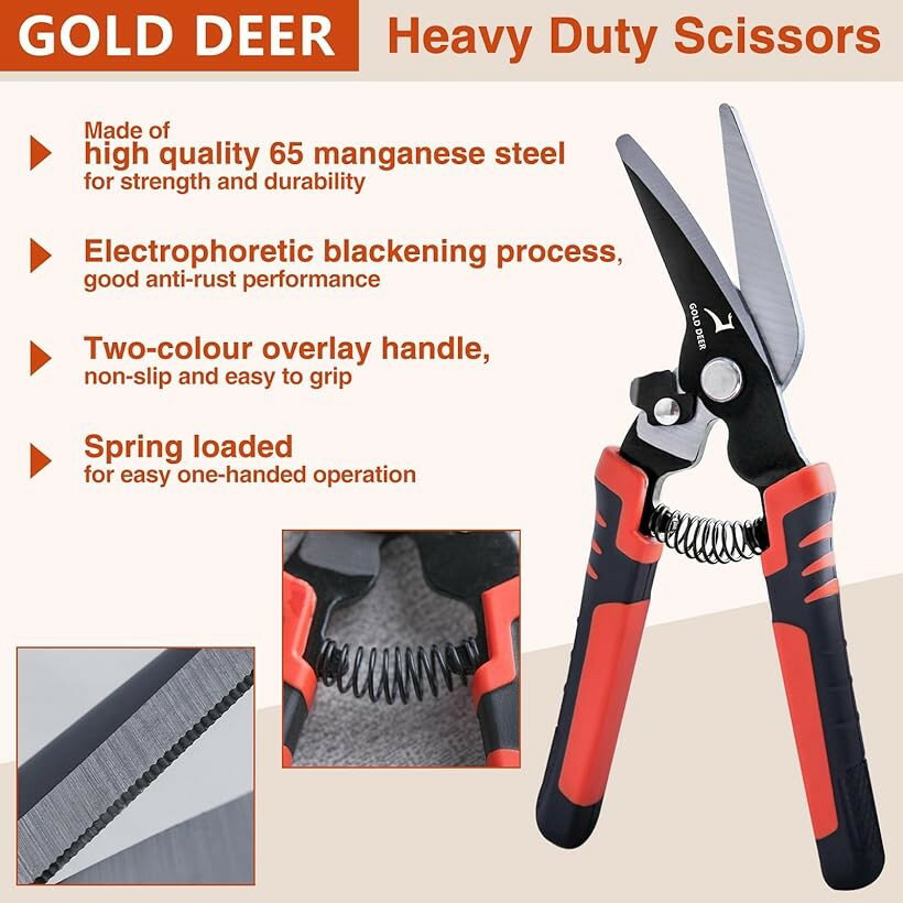 �ڳ�ŷ��󥭥�1�����ޡ�2�� 8����� �إӡ��ǥ塼�ƥ����������� ���ȥ졼�ȡ�����ܡ� �ϥ��� �����ڥå��� ���ڤ�Х��� ��� �ץ饹���å����å��� �����ڤ�Ϥ��� ���ĥХ��� ����եȥϥ��� �⡼�륫�å��� ��° (����󥸤ȹ�)