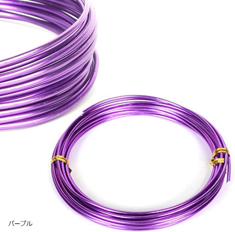 良品ラボ アルミワイヤー 3mm径 針金 アルミ線 カラー クラフト DIY 工作 園芸 手芸 太い 柔らかい 防錆 自由自在 全長10m (パープル)