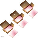 単語カード 暗記カード 単語帳 セット 情報カード メッセージカード 300枚 ND-0041-06-PK(ピンク, 89mmx52mm)
