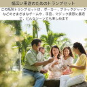 【楽天ランキング1位入賞】6パックセット トランプ 紙 バカラ ポーカー ブラックジ...