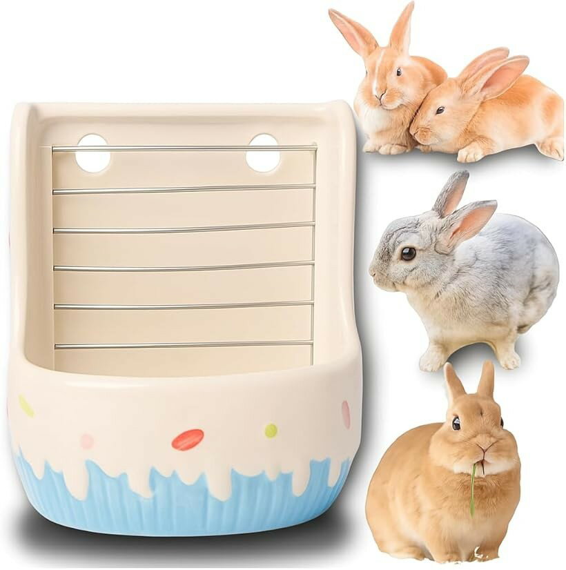 デグー飼育セット ケージから餌入れまで 三晃商会 イージーホーム 40ハイ デグー飼育セットC スターターセット