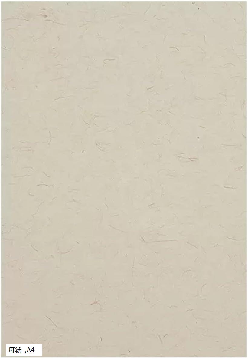 色紙 A4 A3 10枚入 寄せ書き 用紙 サイン色紙 (麻紙, A4)