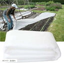 morytrade ベタがけシート 不織布シート 保温 防虫 霜よけ 農業 家庭菜園(ホワイト 2x10m)