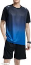 アスペルシオ スポーツウェア 上下セット 半袖tシャツ ショートパンツ 運動服 快適 2点セット メンズ 丸首 短パン 涼しい ジャージ サラサラ ランニング ...
