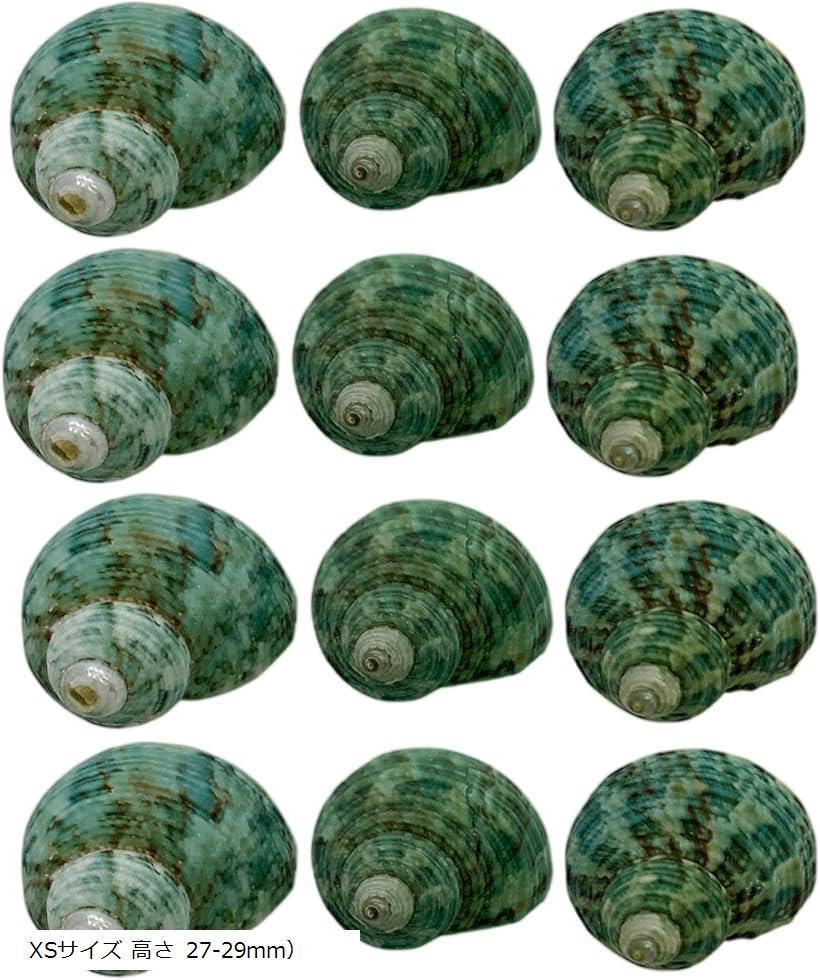 γ  ɥΤ ؤ ߥɥγ 12S37-1-T(п, XS ⤵ 27-29mm)