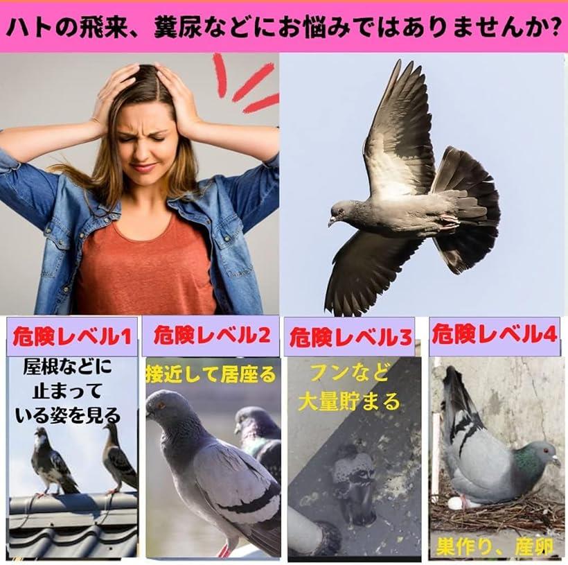 ȷ�褱���å� �٥��� �ϤȤ褱���å� �ϤȤˤ����� ȷ�η���ˡ ȷ�ˤ����� Ļ�褱���å�