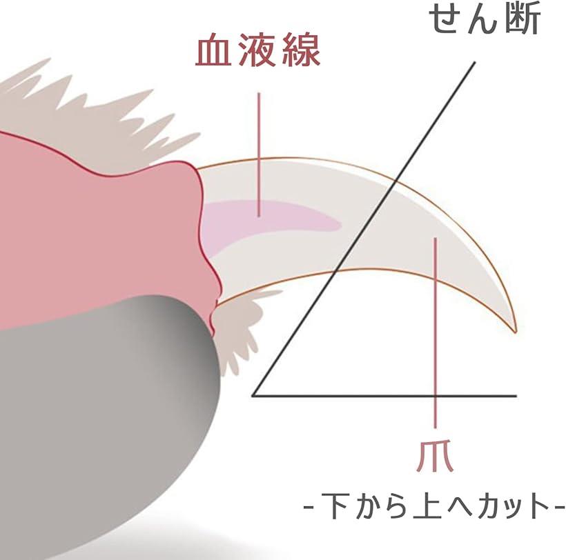 �ڳ�ŷ��󥭥�1�����ޡ����ڤ� ǭ���� �Ĥ᤭�� 2mm�ݷ�