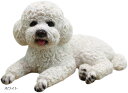 トイプードル オブジェ インテリア 置物 玄関 リビング リアル 本物 そっくり 雑貨 愛犬 癒し レジン ぬいぐるみ(ホワイト, 小)