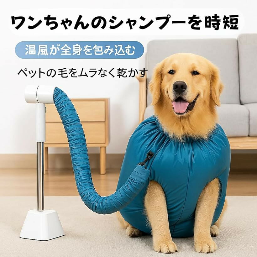 サンプル画像3