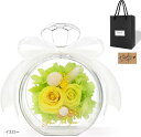 プリザーブドフラワー 枯れない花 永遠の花 プレゼント 枯れない本物の薔薇 退職祝い アレンジメント 2輪の薔薇 カード&手提げボックス付き 敬老の日 記念日 フラワーギフト(イエロー, 普通)
