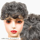部分ウィッグ かつら ヘアピース ポイントウィッグ 白髪 グレイヘアー 女性 レディース 人工毛 ショート 前髪 ストレート 前髪ウィッグ O型つむじ トップピ...
