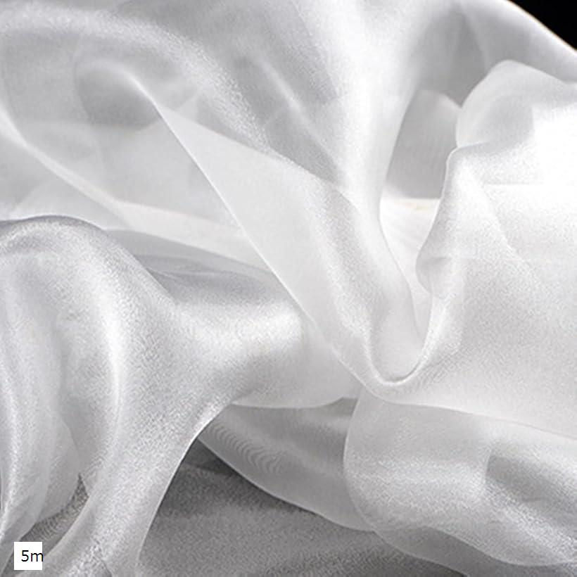 高光沢 オーガンジー 生地 手芸 カラー 無地 布 (ホワイト, 5m)